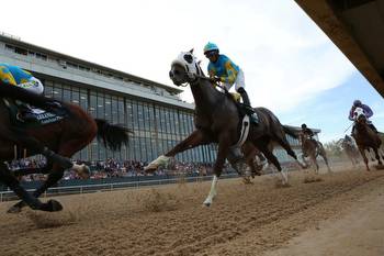 Horse Racing: Southwest Stakes Picks & Vegas Odds (Jan 28)