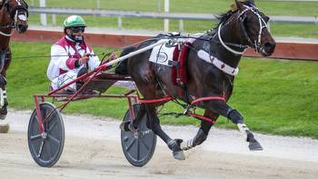 Horse racing: Star pacer Krug set for stretch without regular driver