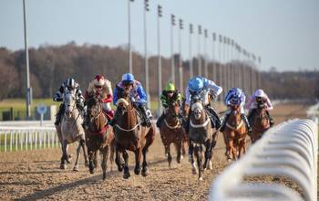 Horse Racing Tips: A 7/1 shot is among the best Tipman's got today