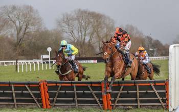 Horse Racing Tips: A 9/1 play tops Tipman's Wednesday fancies