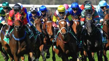 Horse racing tips: Best bets for Albury, Gosford with Mitch Cohen