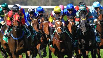 Horse racing tips: Best bets for Albury with Shayne O’Cass