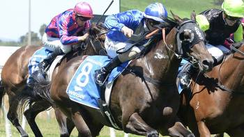 Horse racing tips: Best bets for Gunnedah, Moruya with Mitch Cohen