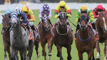 Horse racing tips: Best bets for Hawkesbury with Shayne O’Cass