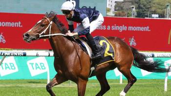 Horse racing tips: Best bets for Muswellbrook, Sapphire Coast with Mitch Cohen