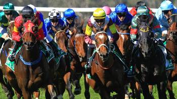 Horse racing tips: Best bets for Scone with Shayne O’Cass