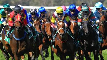 Horse racing tips: Best bets for Taree with Shayne O’Cass