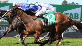 Horse racing tips: Best bets for Wagga, Coffs Harbour with Mitch Cohen