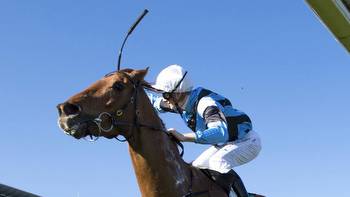 Horse racing tips: Best bets for Warwick Farm, Dubbo with Matt Jones