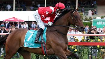 Horse racing tips: Cranbourne Cup day best bets, preview