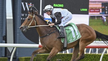 Horse racing tips: Echuca best bets for Thursday October 19