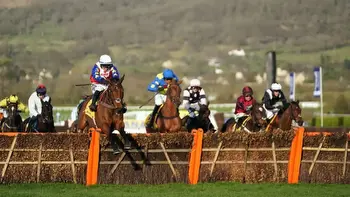 Horse racing tips: Five horses to follow during the National Hunt season