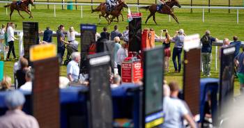 Horse racing tips: Friday selections from Newsboy for five cards including Ayr and Newbury