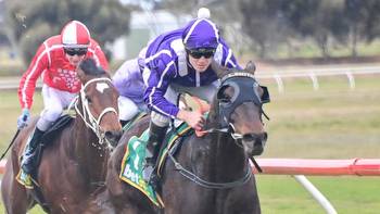 Horse racing tips: Geelong best bets, jockey to follow