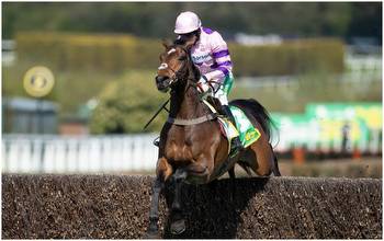 Horse Racing Tips: Mick Fitzgerald’s bets for Newbury & Warwick
