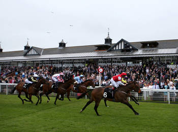 Horse Racing Tips Monday 10th October 2022 best bets and most tipped horses