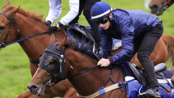 Horse racing tips: Newcastle best bets and inside mail