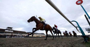 Horse racing tips: Newsboy's Sunday selections for Lingfield, Exeter and Navan