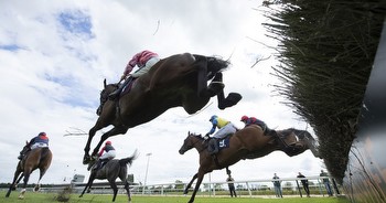 Horse racing tips: Newsboy's Wednesday selections for Southwell, Newcastle and Kempton