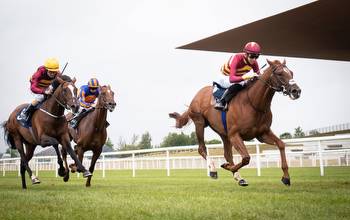 Horse Racing tips: Our runner-by-runner guide for the 2020 Irish Derby