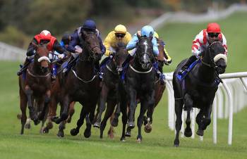 Horse racing tips: Sunday selections from Newsboy for cards at Pontefract, Sandown and Southwell