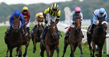 Horse racing tips: Sunday selections from Newsboy for cards at the Curragh, York and Fontwell