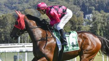 Horse racing tips: Taree best bets, preview, inside mail, Sunday races with Adam Sherry