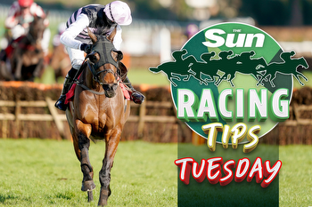 Horse racing tips: Templegate NAP bolted up last time and should follow up at Newcastle