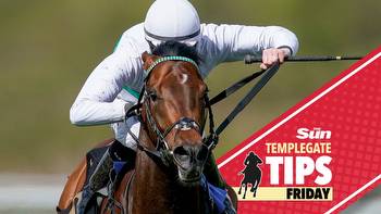 Horse racing tips: Templegate NAP has BURST of speed plus Punchestown picks with Cheltenham winners back in action