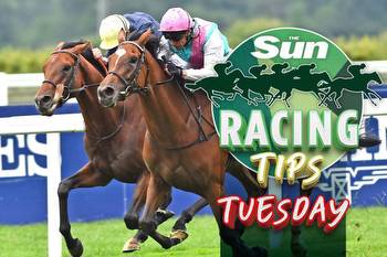 Horse racing tips: Templegate NAP in the 6.00 at Southwell looks unbeatable in a race even easier than he won last time