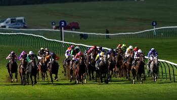 Horse racing tips: Templegate pick and complete guide to the Old Rowley Cup at Newmarket on Friday