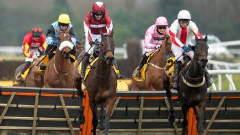 Horse racing tips: Templegate pick and complete runner-by-runner guide to blockbuster Betfair Hurdle at Newbury