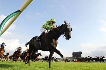 Horse racing tips: Thursday's Nap from Newsboy for day one of Ayr Gold Cup meeting