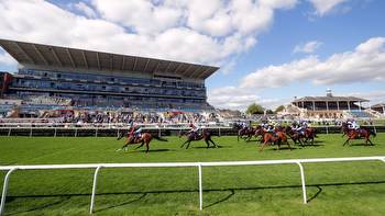 Horse Racing Tips Today: Timeform ratings and Flags at Doncaster on Friday