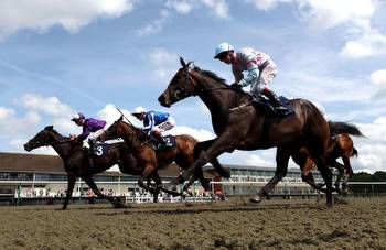 Horse Racing Tips Tuesday 14th November 2023 best bets and most tipped horses