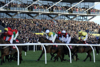 Horse Racing Tips Tuesday 23rd January 2024 best bets and most tipped horses