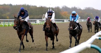 Horse racing tips: Tuesday selections from Newsboy for cards at Lingfield, Southwell and Wolverhampton