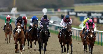 Horse racing tips: Wednesday selections from Newsboy for cards at Lingfield, Kempton, Bath, Southwell and Hexham