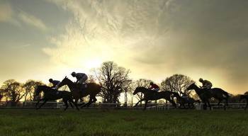 Horse Racing Tips: Wednesday's Best Bets and Most Tipped Horses