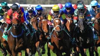 Horse racing tips: Wellington best bets, preview, inside mail, Sunday races with Shayne O’Cass