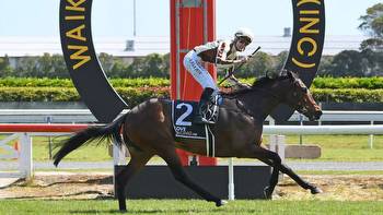 Horse racing: Trainer draws line in the sand for whether favourite Legarto starts in Hastings