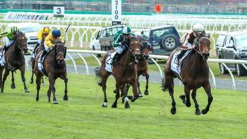 Horse racing: Two days late and a bridle short no hurdle for filly