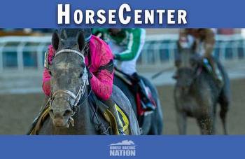 HorseCenter: 2023 Kentucky Derby dark horses