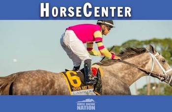 HorseCenter: Belmont Stakes 2023, Met Mile top picks
