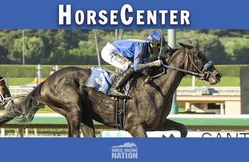 HorseCenter: Breeders' Cup 2023 long-shot picks in all 14 races