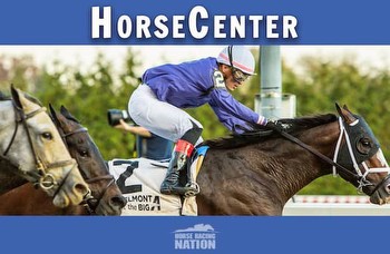 HorseCenter: Cigar Mile and Remsen Stakes top picks