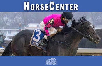 HorseCenter: Kentucky Derby, Oaks top 10 rankings