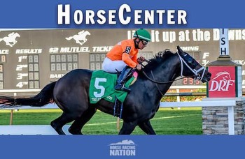 HorseCenter: Tampa Bay Derby, Hillsborough Stakes top picks