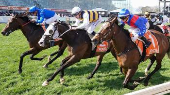 Horses to follow from Caulfield Group 1 Might And Power Stakes day Anamoe, I'm Thunderstruck and Zaaki