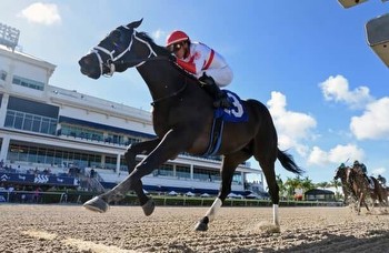 Horses to Watch: 4 juveniles go for glory at Del Mar, Gulfstream